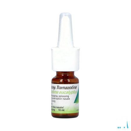 Rhinospray Tramasoline Eucalyptol 1,1 mg/ml Spray Nasal 10 ml