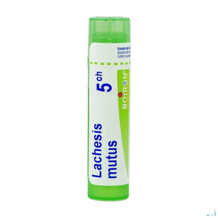 Lachesis Mutus 5CH Gr 4g  -  Boiron