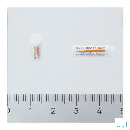 Oscillococcinum Doses 6 X 1 gr  -  Boiron