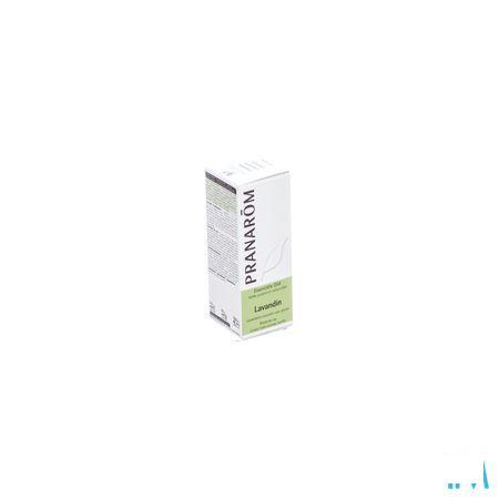 Lavandin Grosso Huile Essentielle 10 ml  -  Pranarom