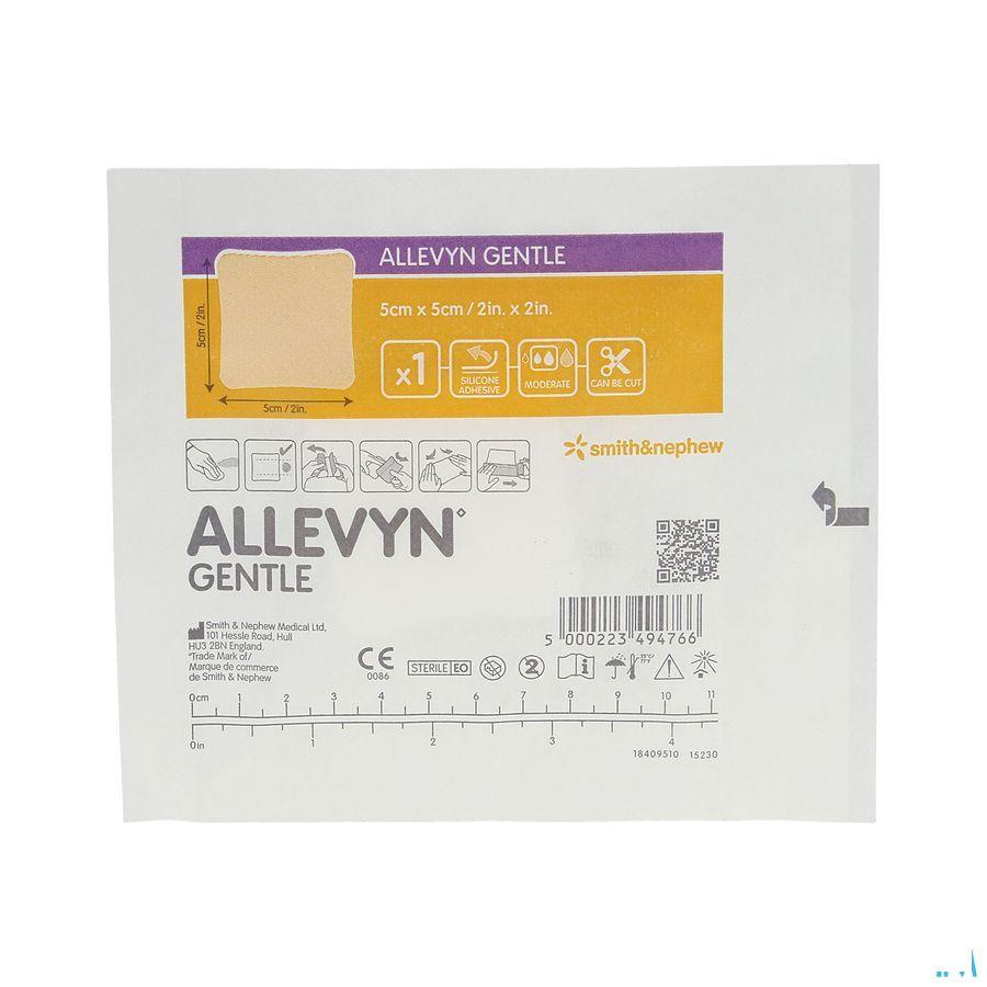 Allevyn Gentle Kp Foam 5Cm X 5Cm 10 66802128  -  Smith Nephew