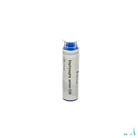 Staphysagria Semen D30 Gr 4g  -  Weleda