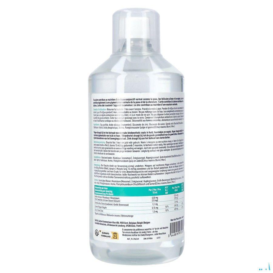 Dexsil Original Silicium Drink 1l