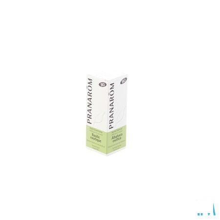 Basilicum Bio Ess Olie 10 ml Pranarom