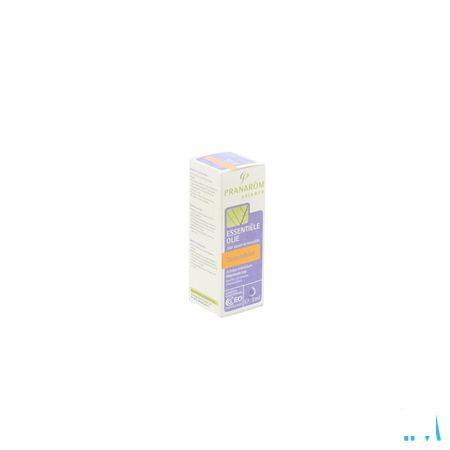 Duizendblad Essentiele Olie 5 ml  -  Pranarom