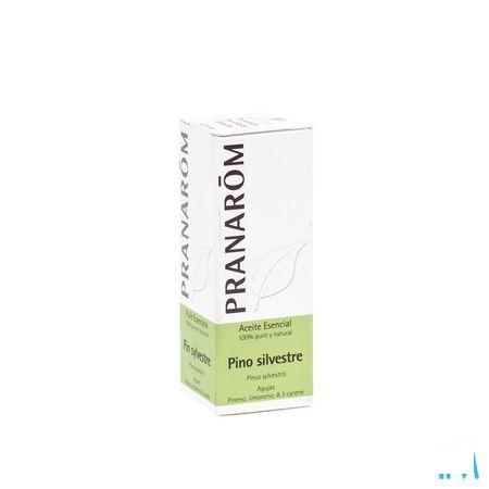 Pin Sylvestre Huile Essentielle 10 ml  -  Pranarom