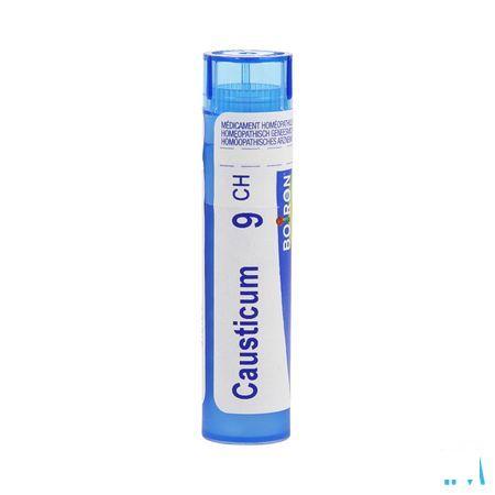 Causticum Hahnemanni 9CH Gr 4g  -  Boiron