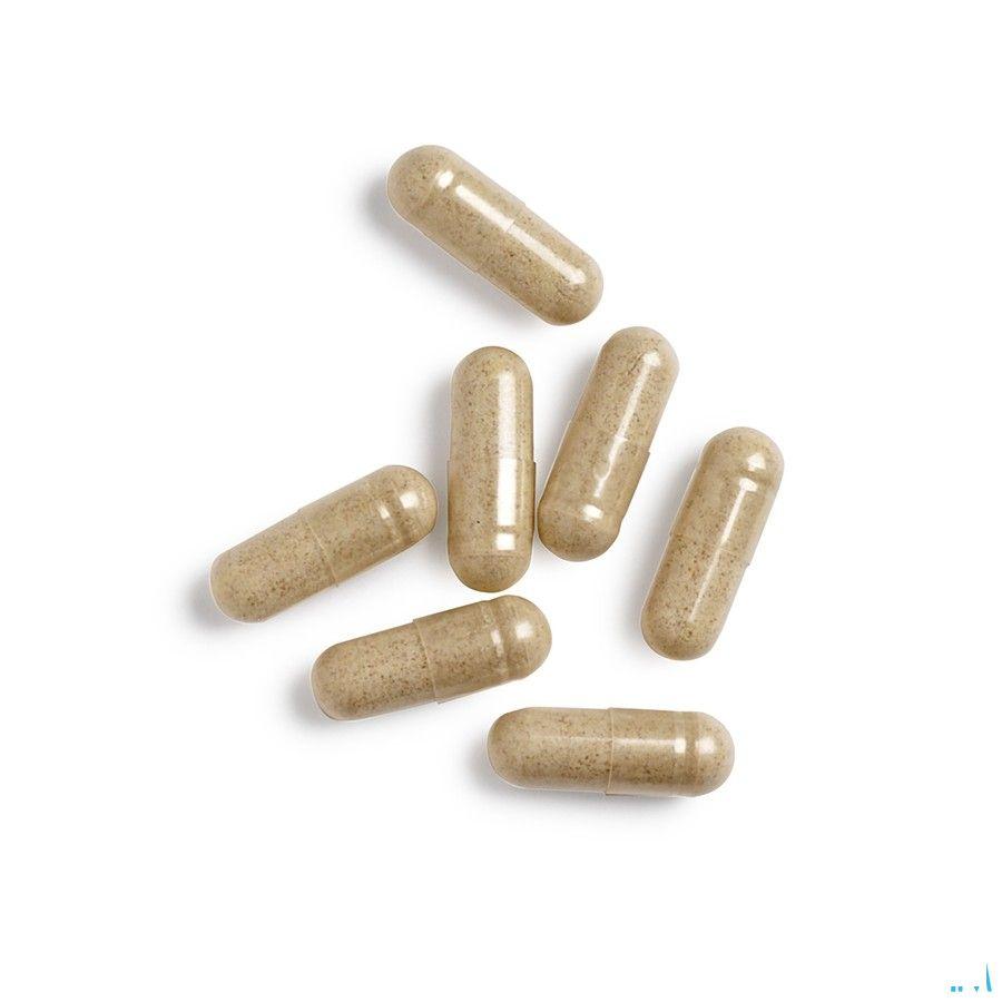 Floracare XL 60 vegicaps  -  Energetica Natura