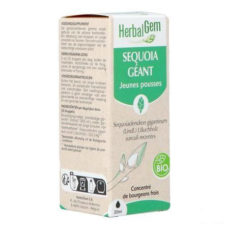 Herbalgem Mammoetboom Bio 30 ml