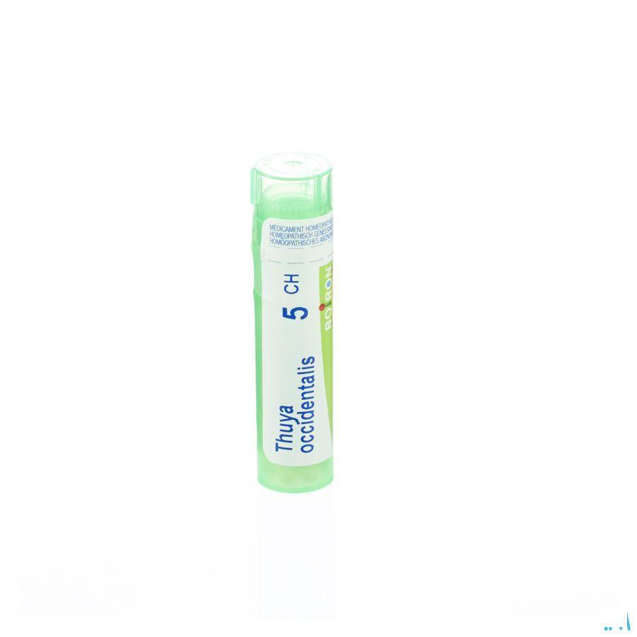 Thuya Occidentalis 5CH Gr 4g  -  Boiron