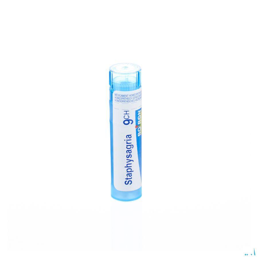 Staphysagria 9CH Gr 4g  -  Boiron