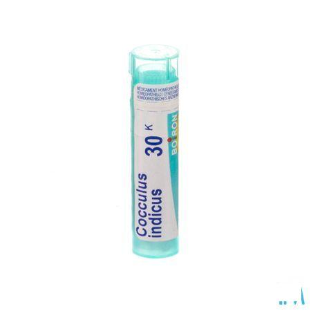 Cocculus Indicus 30K Gr 4g  -  Boiron
