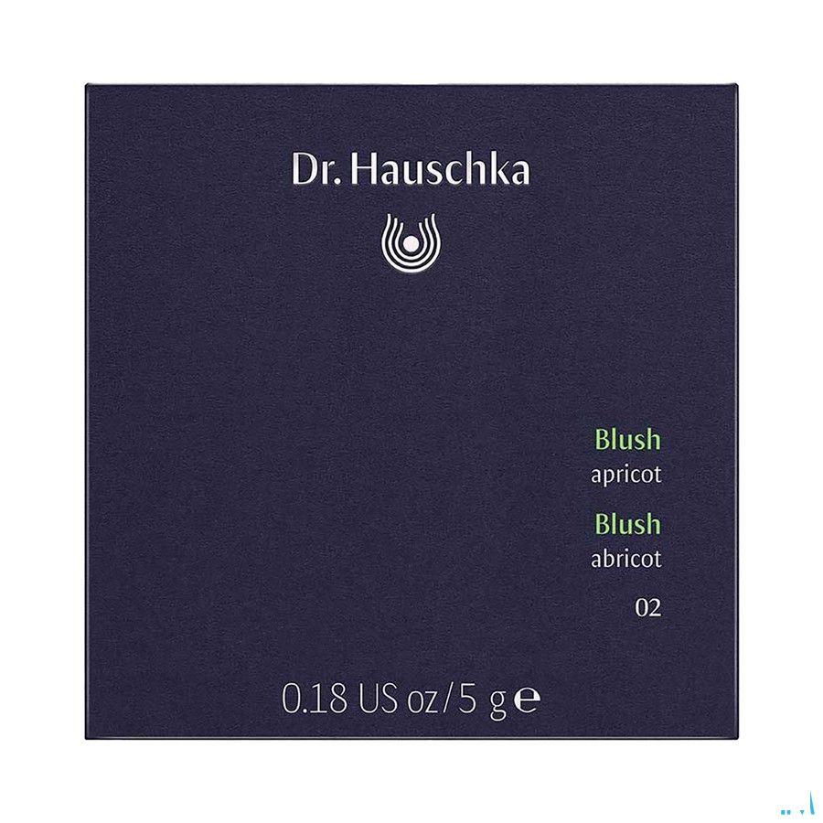 Dr.Hauschka Blush 02 apricot 5 g   -  Wala Nederland