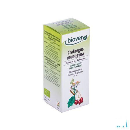 Meidoorn Teinture Bio 50 ml   -  Ocebio