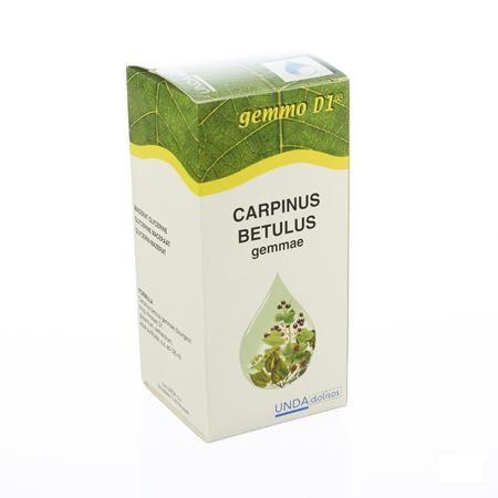 Carpinus Bet.gem.gemmo D1 125 mlboiron  -  Boiron