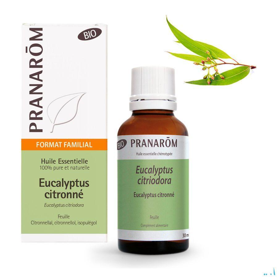Eucalyptus Citroen Bio Hle Ess 30 ml  -  Pranarom