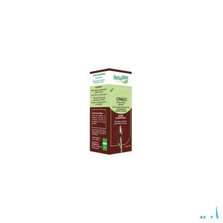 Herbalgem Gingko Tm 50 ml  -  Herbalgem