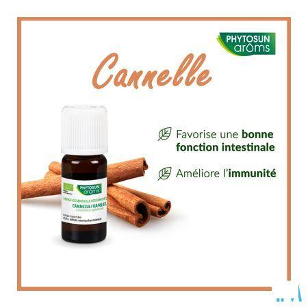 Phytosun Kaneel Fr-bio-01 5 ml