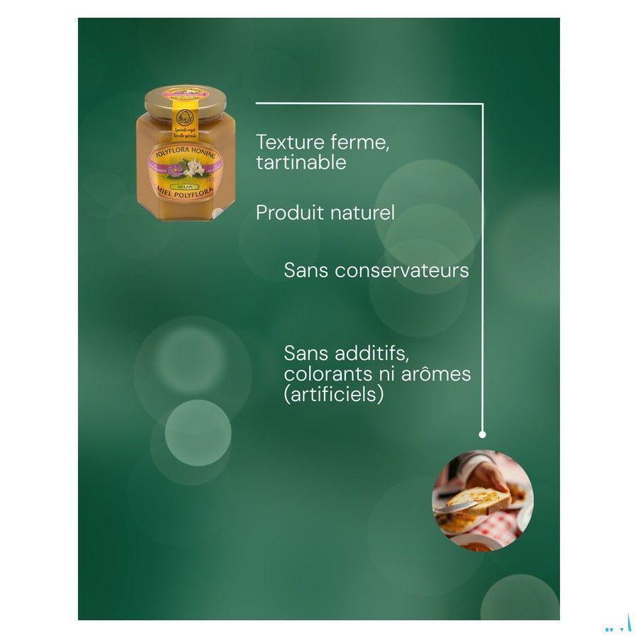 Melapi Polyflora + gelee Royale 500 gr 5534  -  Revogan