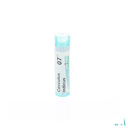 Cocculus Indicus 7CH Gr 4g  -  Boiron