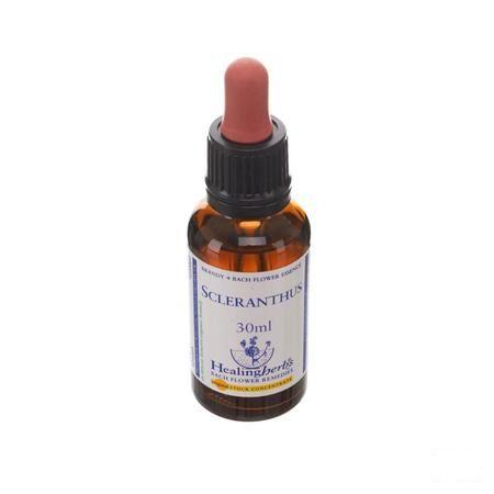 Healing Herbs Scleranthus 30 ml