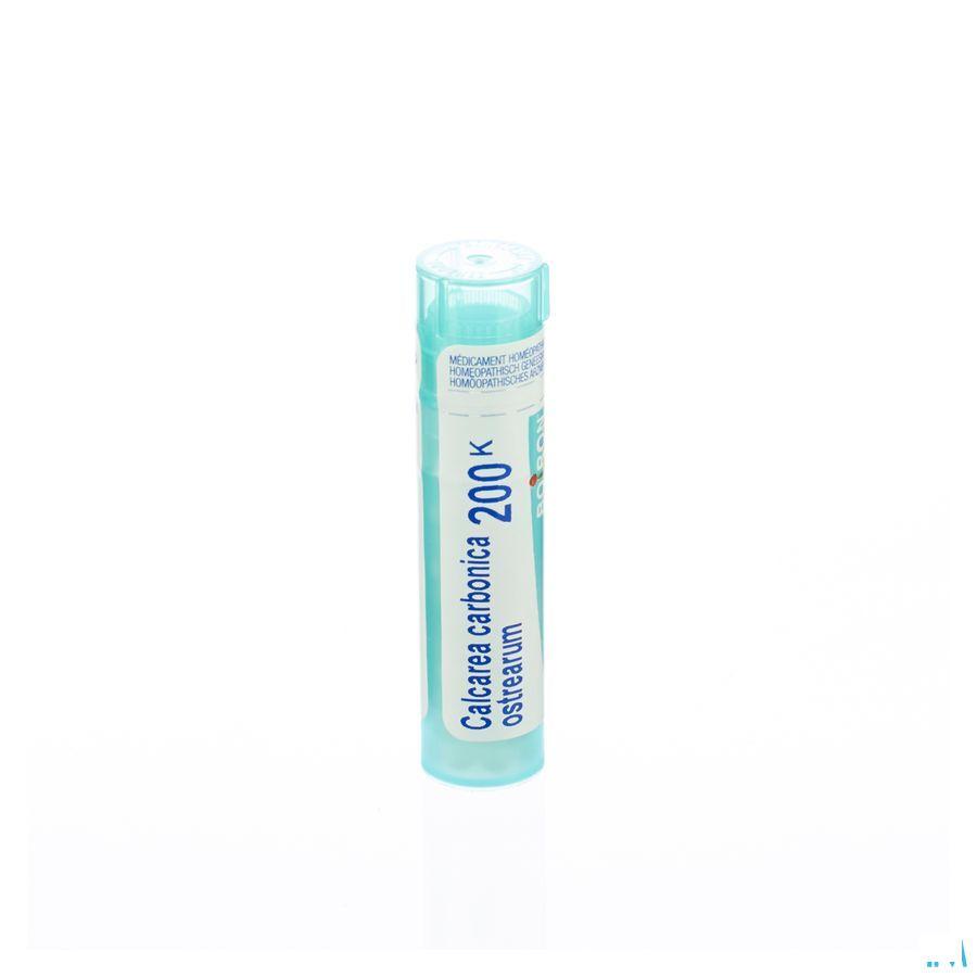Calcarea Carbonica Ostrearum 200K Gr 4g  -  Boiron