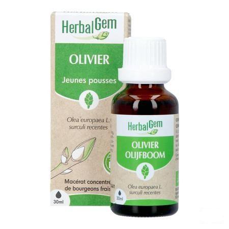 Herbalgem Olijfboom Bio 30 ml