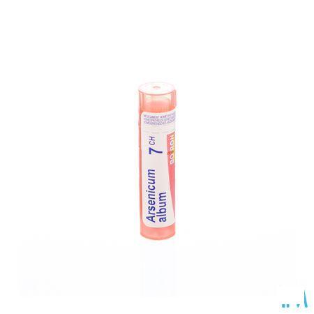 Arsenicum Album 7CH Gr 4g  -  Boiron