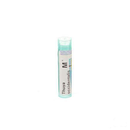 Thuya Occidentalis MK Gr 4g  -  Boiron