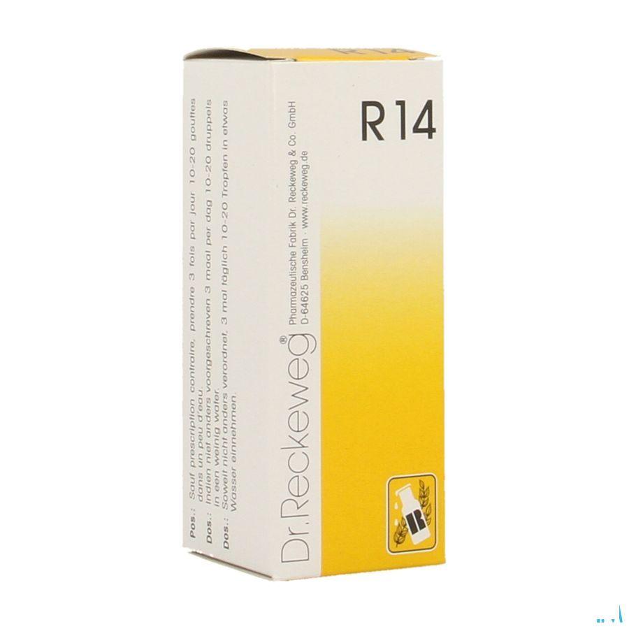 Reckeweg Dr. R14 Druppels 50 ml  -  Nut-Hom-Phyt