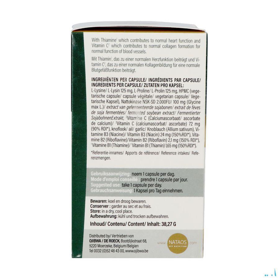 Nattokinase Nsk-Sd Caps 60X100 mg