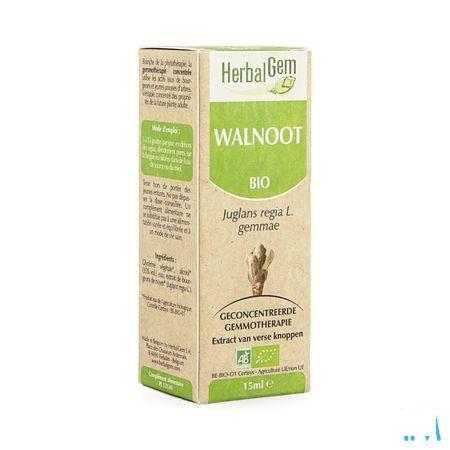 Herbalgem Walnoot Maceraat 15 ml  -  Herbalgem