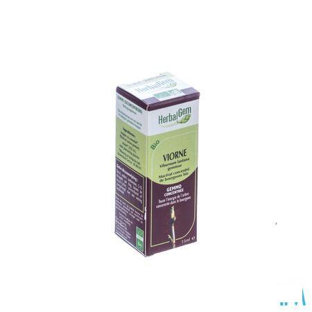 Herbalgem Wollige Sneeuwbal Maceraat 15 ml  -  Herbalgem