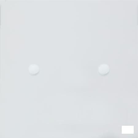 Rhinallergy Tabletten 60  -  Boiron