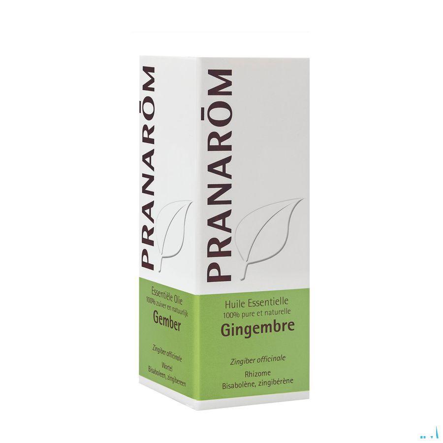 Gember Essentiele Olie 5 ml  -  Pranarom