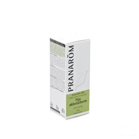 Khella Huile Essentielle 5 ml  -  Pranarom
