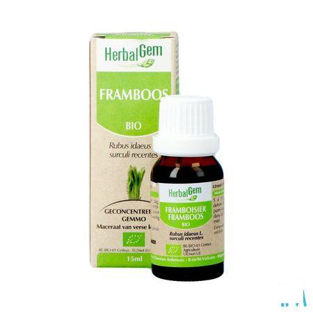 Herbalgem Framboisier Macerat 15 ml  -  Herbalgem