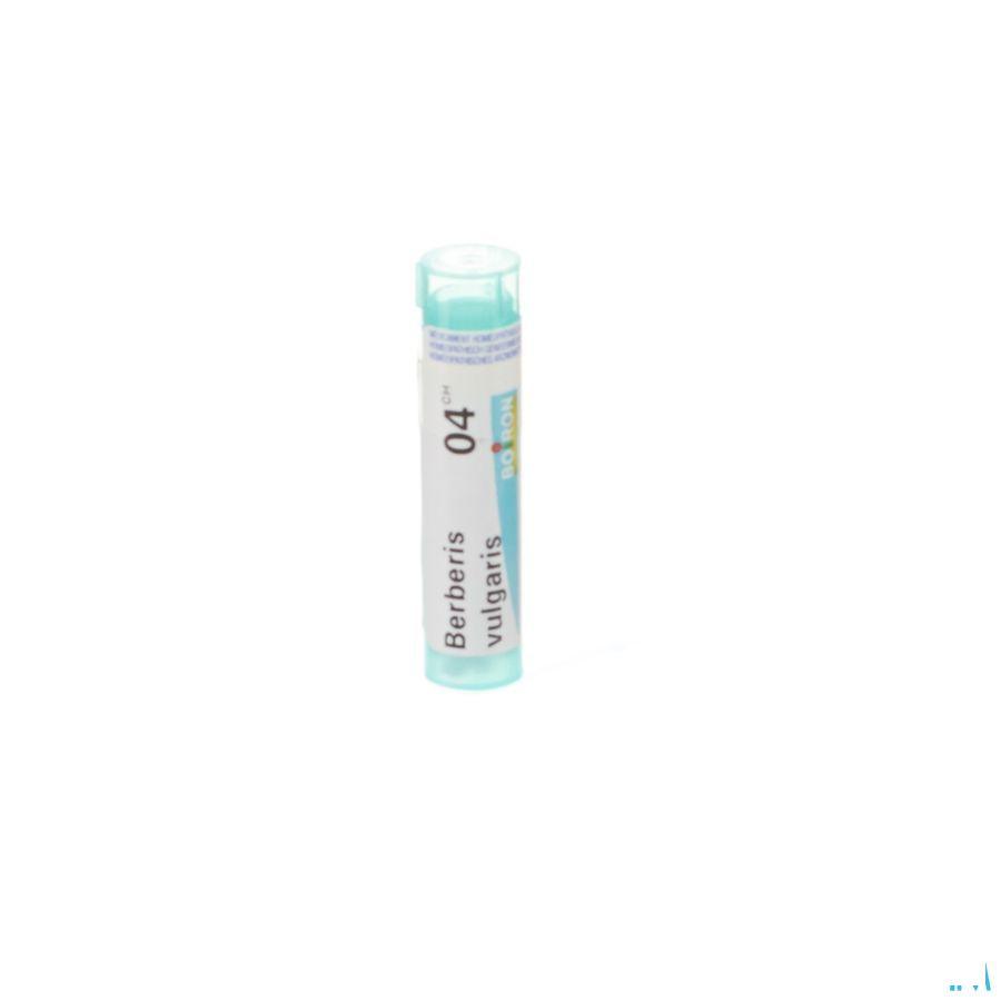 Berberis Vulgaris 4ch Gr 4g  -  Boiron