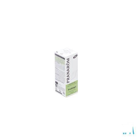 Kruidnagel Bio Essentiele Olie 10 ml  -  Pranarom