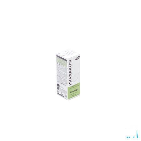 Clou De Girofle Bio Huile Essentielle 10 ml  -  Pranarom