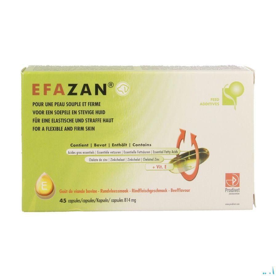 Efazan Capsule 45
