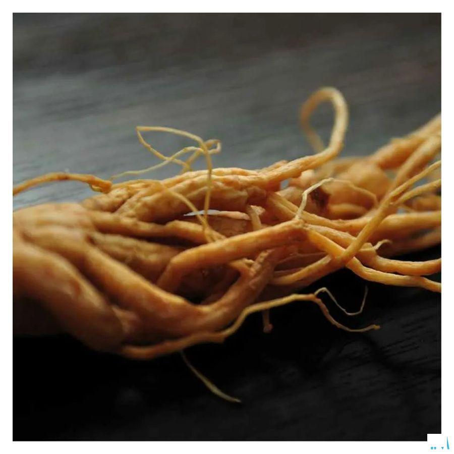 Stimulitop Ginseng + Eleuterococcus + Mate Amp 20  -  Bioholistic Diffusion