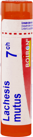 Lachesis Mutus 7CH Gr 4g  -  Boiron
