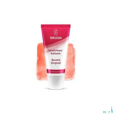 Weleda Tandvleesbalsem Tube 30 ml 0636670  -  Weleda