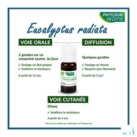 Phytosun Euc. Radiata Fr-bio-01 10 ml