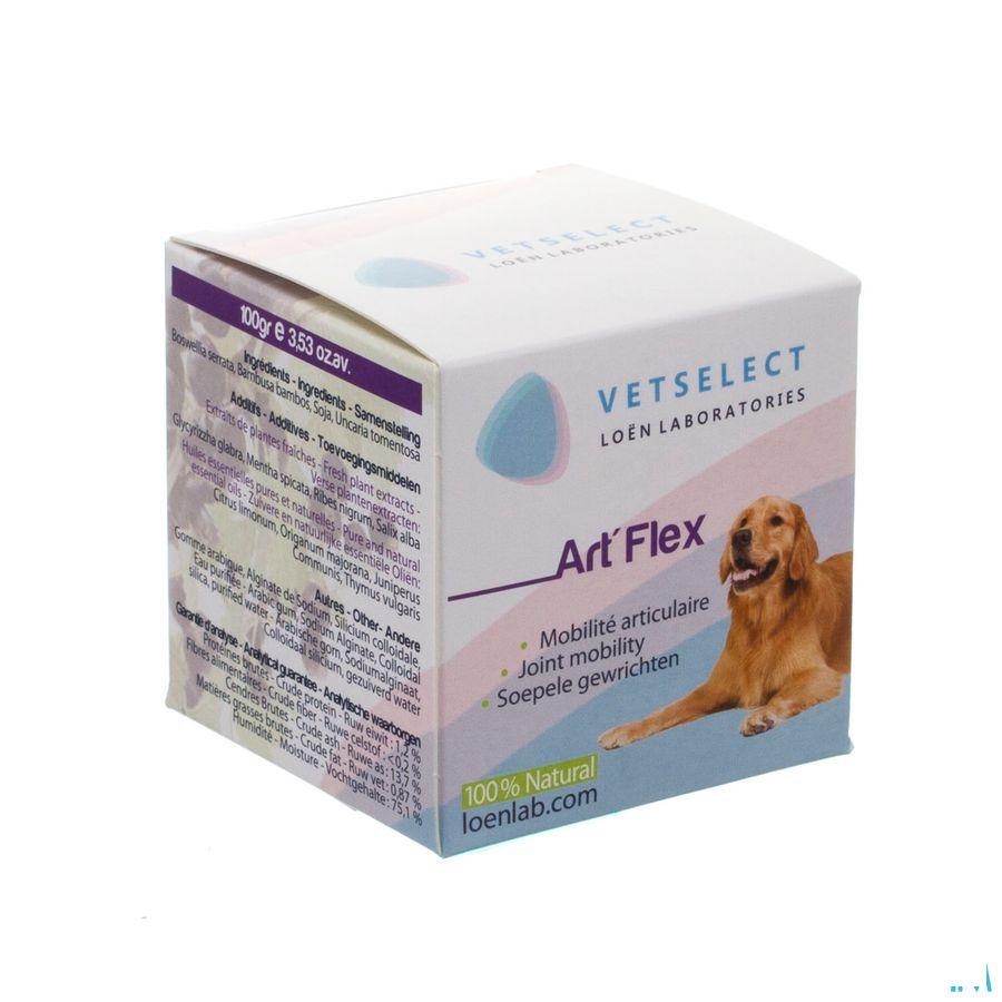 Vetselect Art-flex 100 gr  -  Loen Laboratories Europe