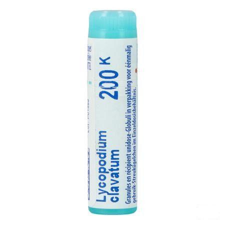 Lycopodium Clavatum 200K Gl  -  Boiron