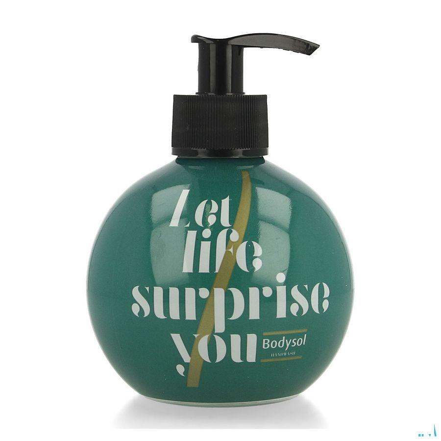 Bodysol Handwash Ltd Ed Green 2020 295ml