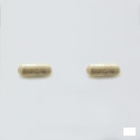 Probactiol Plus Blister Capsule 30  -  Metagenics