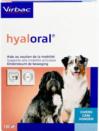 Hyaloral Comp 120